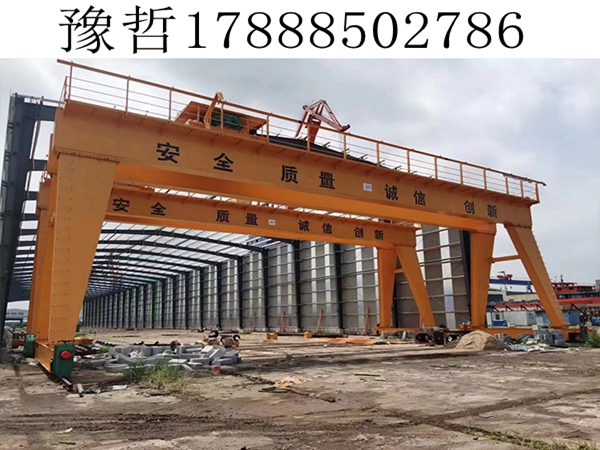 全包箱龙门吊(2)