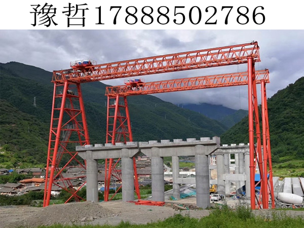 柳州100吨龙门吊