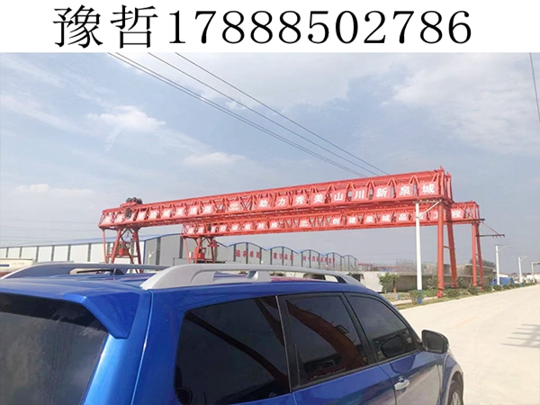花架式龙门吊(2)